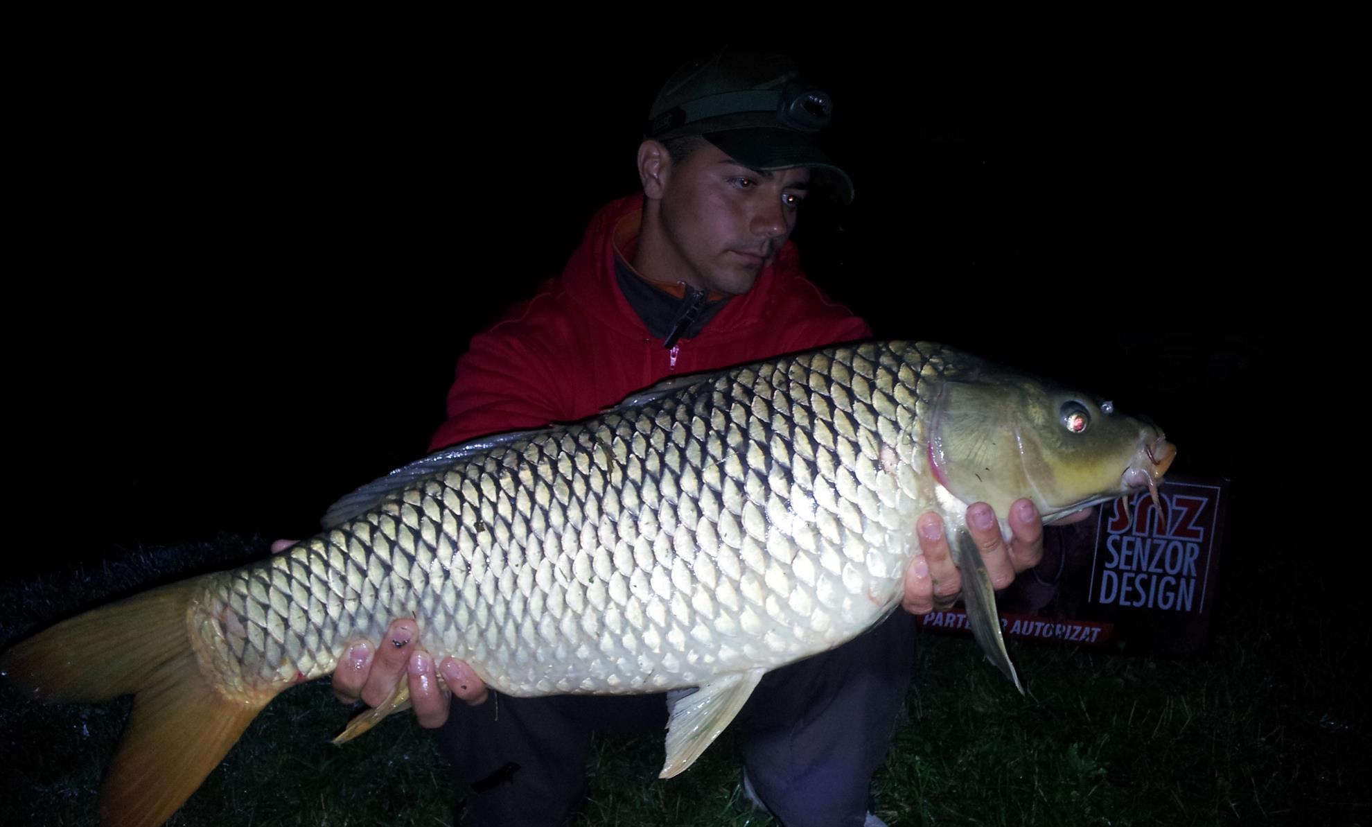 Silver  Ungaria 17 - 18 iul. - 20130718015341.jpg